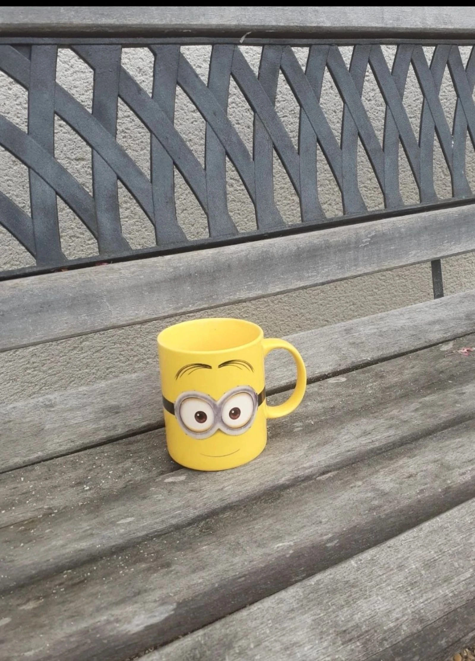Mug les minions 
